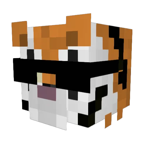 xSuperTiger Minecraft avatar head, 3D render