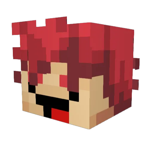 xSuperb0ssx Minecraft avatar head, 3D render