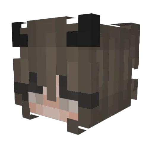 xSweetd Minecraft avatar head, 3D render