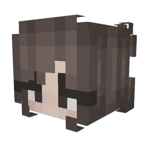 xTENJINx Minecraft avatar head, 3D render