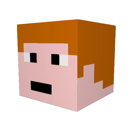 xTIGER21x Minecraft avatar head, 3D render