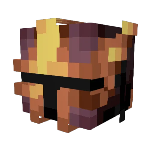 xTIGSx Minecraft avatar head, 3D render