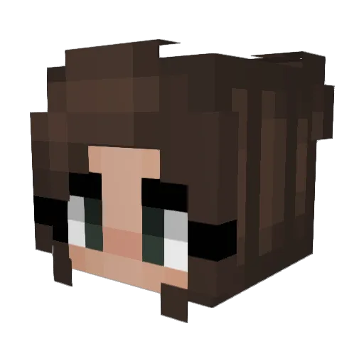 xTTx94 Minecraft avatar head, 3D render