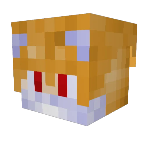 xTailsNingyo Minecraft avatar head, 3D render