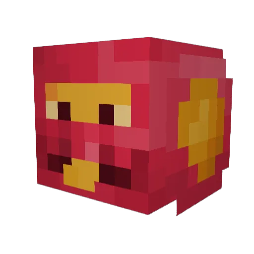 xTanukIx Minecraft avatar head, 3D render