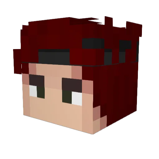 xTaybe Minecraft avatar head, 3D render