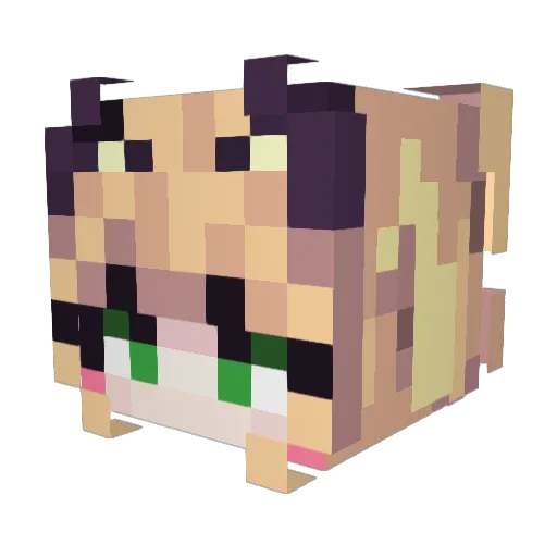 xTeaDragon Minecraft avatar head, 3D render