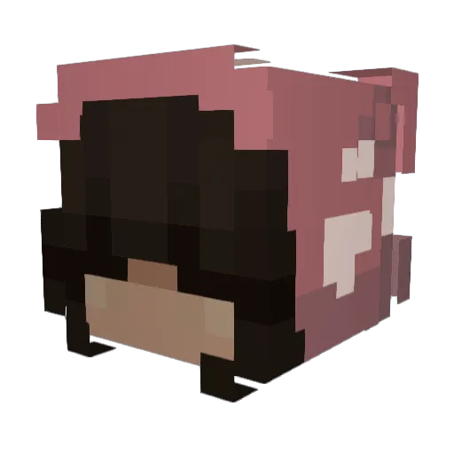 xTeena Minecraft avatar head, 3D render