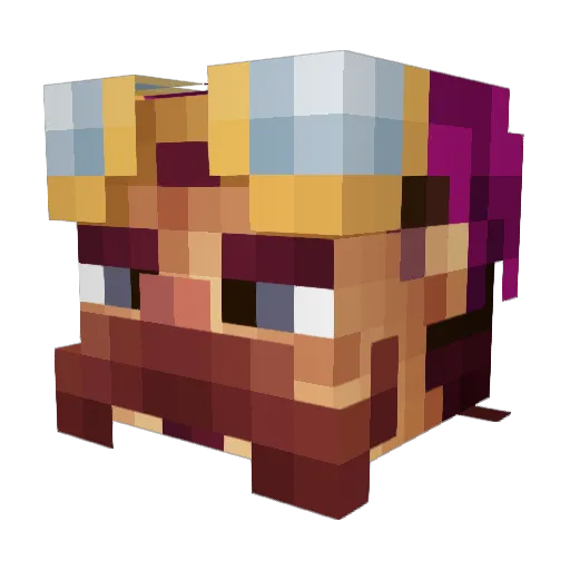 xTejbzx Minecraft avatar head, 3D render