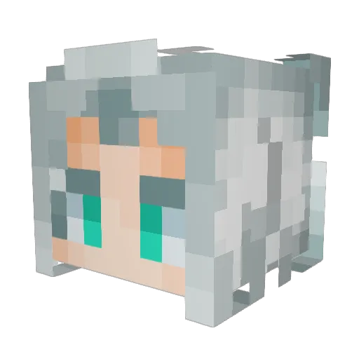 xTerryAkix Minecraft avatar head, 3D render