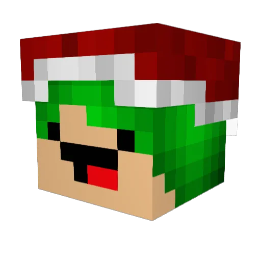xTeslobo Minecraft avatar head, 3D render