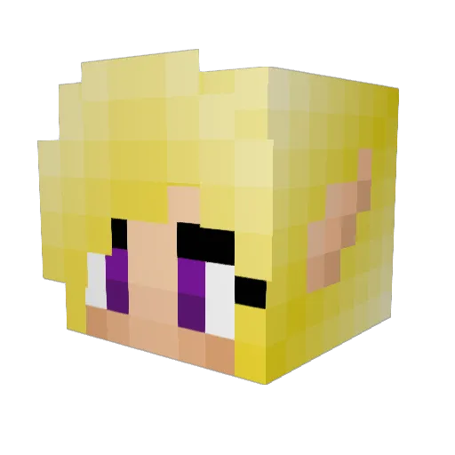xTetraTheKingx Minecraft avatar head, 3D render