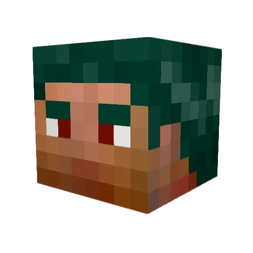 xTheAnomaly Minecraft avatar head, 3D render