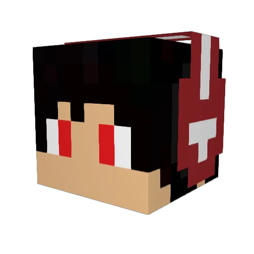 xTheBestMasterx Minecraft avatar head, 3D render