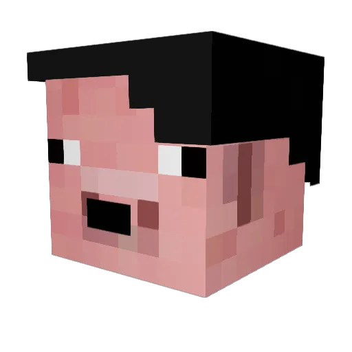 xTheKebapZocker Minecraft avatar head, 3D render