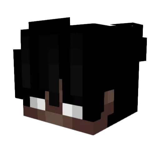 xTheLoveGodx Minecraft avatar head, 3D render