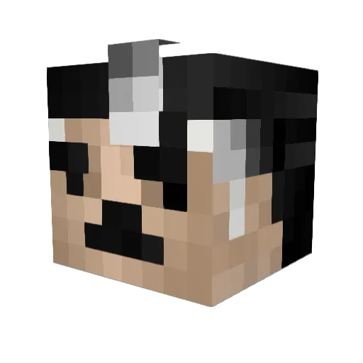 xThrillseekerx Minecraft avatar head, 3D render