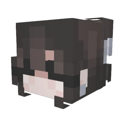 xThund_ Minecraft avatar head, 3D render