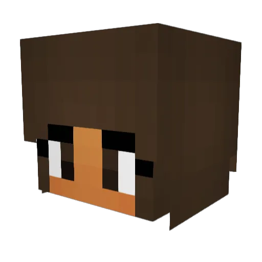 xTicTacPvPx Minecraft avatar head, 3D render