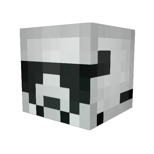 xTkii_ Minecraft avatar head, 3D render