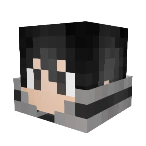 xToRm3nTeDz Minecraft avatar head, 3D render