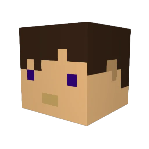 xTomyCraftx Minecraft avatar head, 3D render