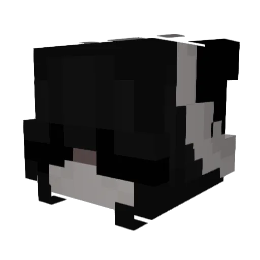 xTotallyNothin Minecraft avatar head, 3D render