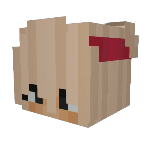 xTouchii Minecraft avatar head, 3D render
