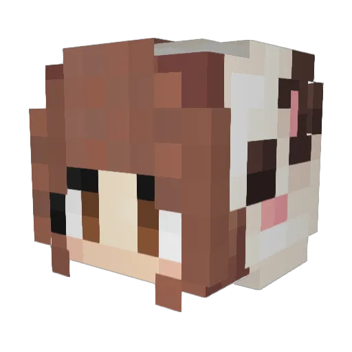 xTouka_ Minecraft avatar head, 3D render