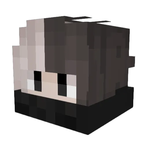 xToxic1 Minecraft avatar head, 3D render