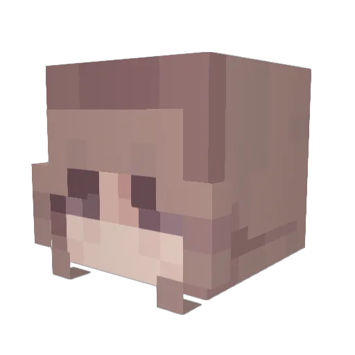 xTralka Minecraft avatar head, 3D render