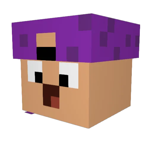 xTraubensaftx Minecraft avatar head, 3D render