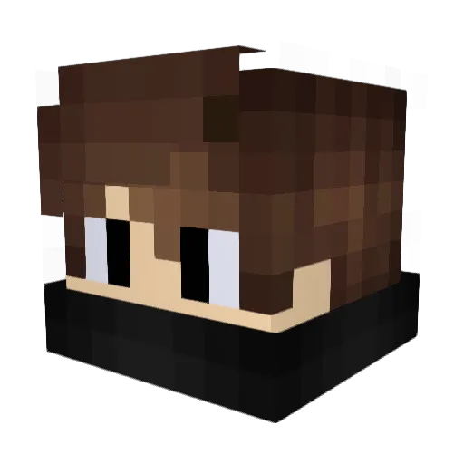 xTrollTheRekt Minecraft avatar head, 3D render