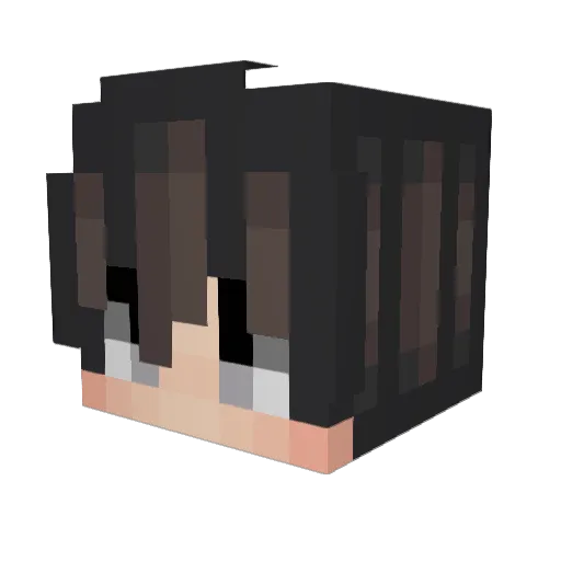 xTsubi Minecraft avatar head, 3D render