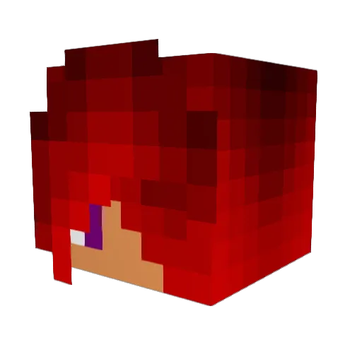 xTubeGaming Minecraft avatar head, 3D render