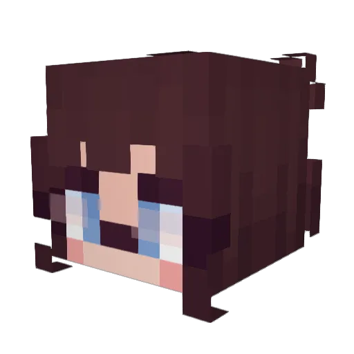 xTuna_Fishx Minecraft avatar head, 3D render
