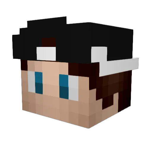 xTurbulence Minecraft avatar head, 3D render