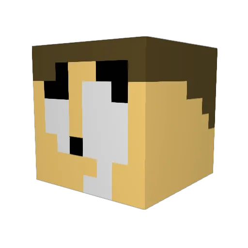 xUNREALxRAPTUREx Minecraft avatar head, 3D render