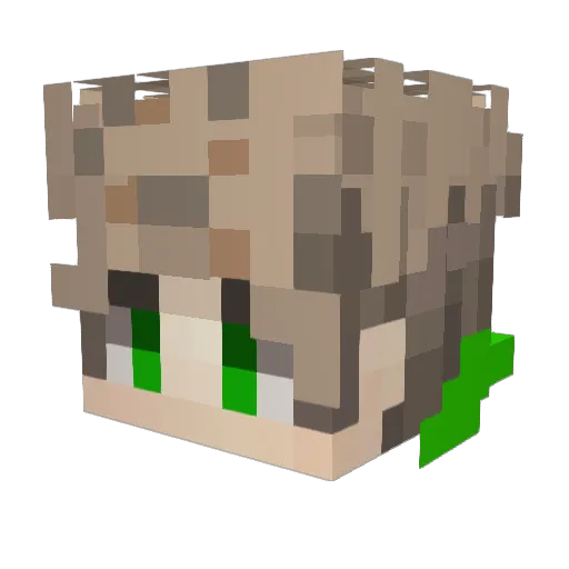 xVale__ Minecraft avatar head, 3D render