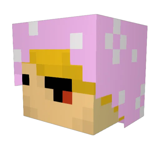 xVaniPitufax Minecraft avatar head, 3D render