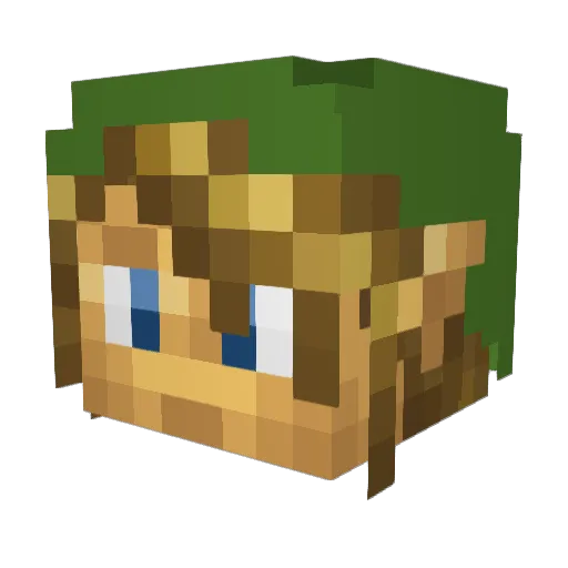 xViOlEnTxJx96 Minecraft avatar head, 3D render