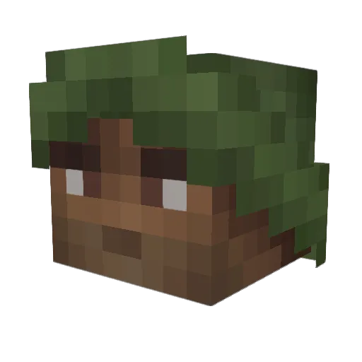 xVigil Minecraft avatar head, 3D render