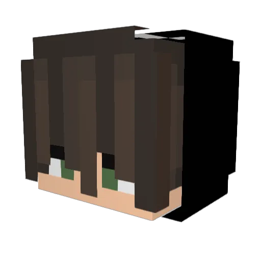 xVisualsss Minecraft avatar head, 3D render