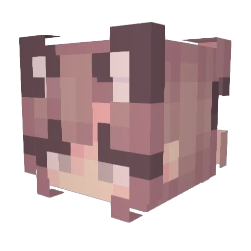 xVixien Minecraft avatar head, 3D render