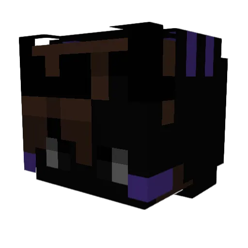 xVoidedx Minecraft avatar head, 3D render