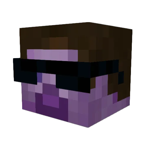 xVoidzz_ Minecraft avatar head, 3D render