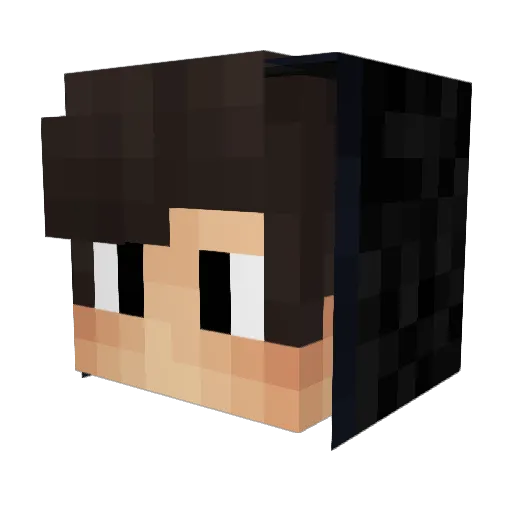 xW1nter Minecraft avatar head, 3D render