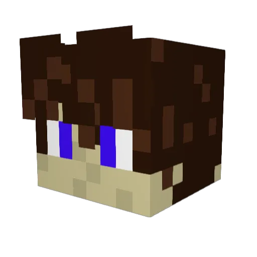 xWaflXs Minecraft avatar head, 3D render