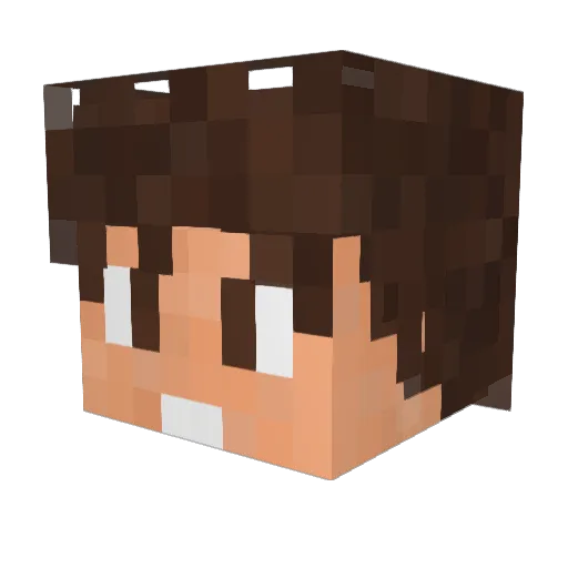 xWane_ Minecraft avatar head, 3D render