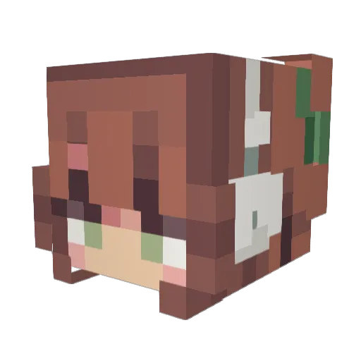 xWarik Minecraft avatar head, 3D render